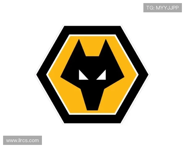 重塑辉煌：探索明尼苏达森林狼队崛起之路与未来发展潜力